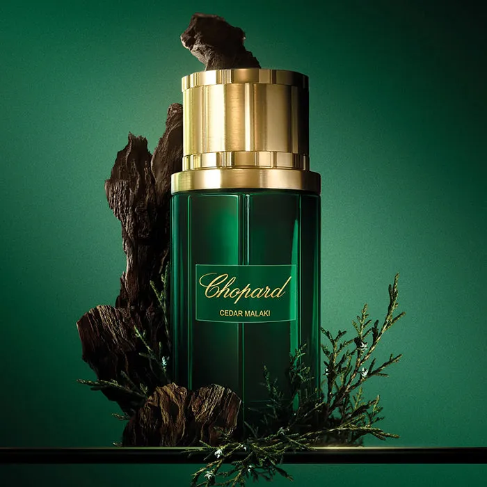 CEDAR MALAKI